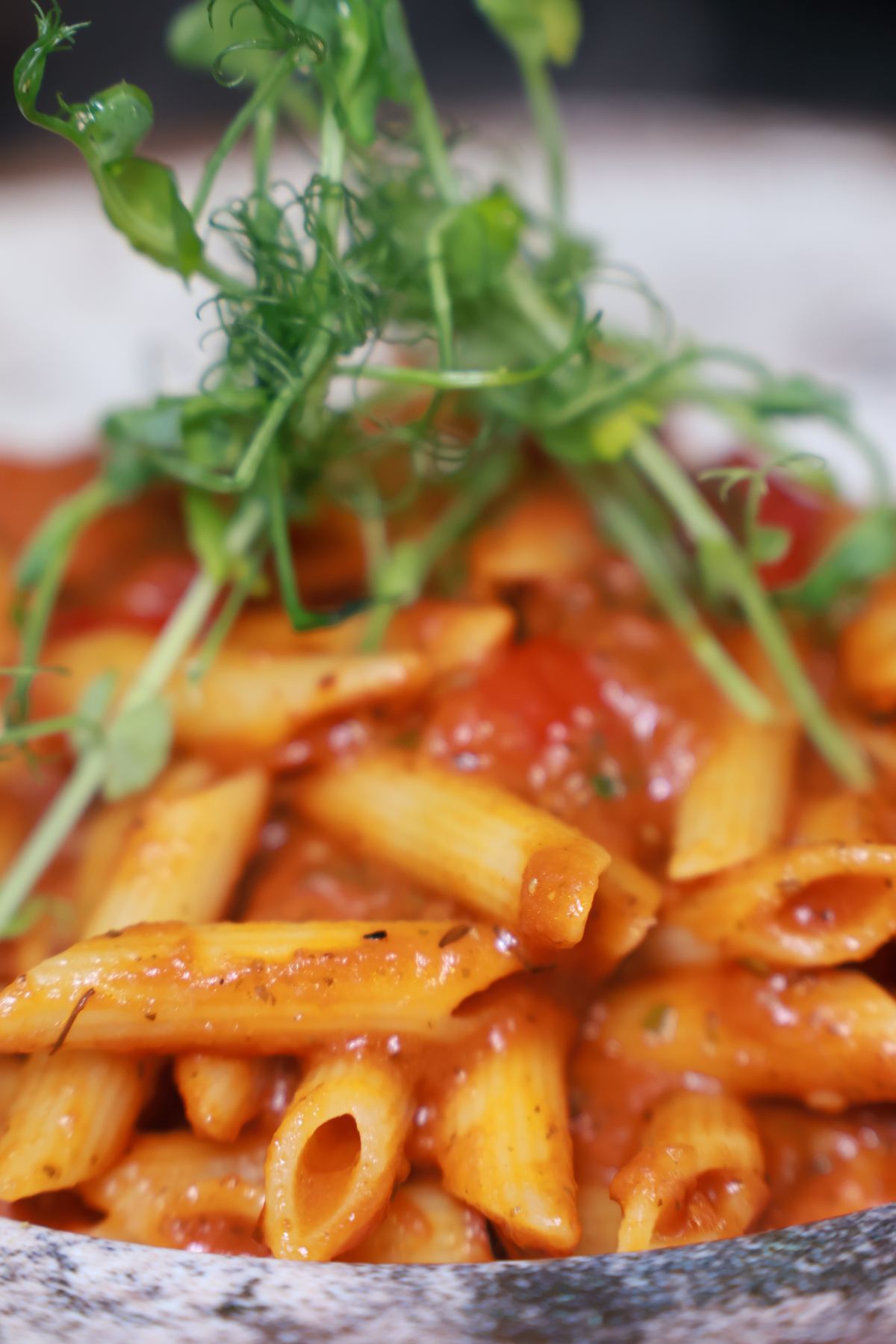 Penne in tomato sauce